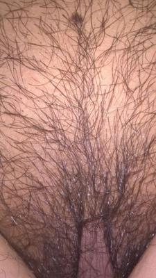 Hairy JoyTwoSex Pubic Hair & Labia