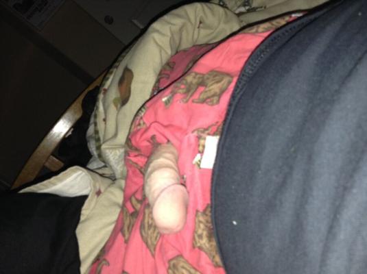 Bear boxers and Dick