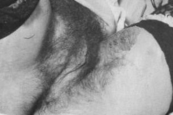 Big Tit Hairy Retro
