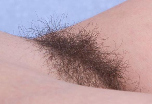 Pubic Hair