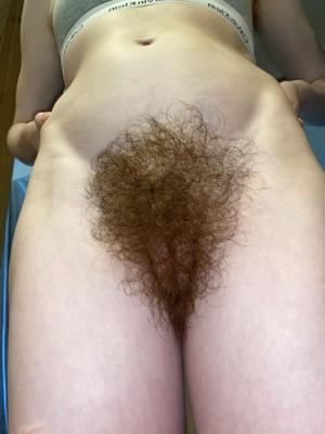 毛むくじゃらのハーステ ブッシュ (Reddit のManyAioli)