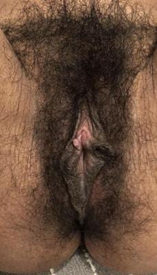 Misc Hairy Amateurs
