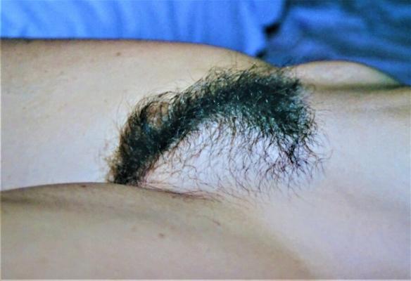 My hairy wive.