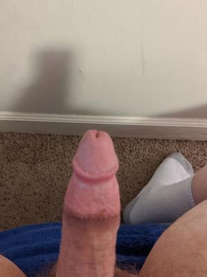 私のコック