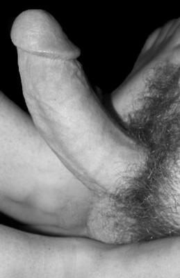 Hairy Cock for yoru viewing pleasure