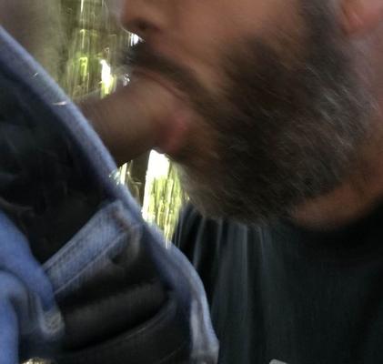 Bearded Dick Sucker