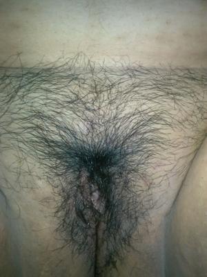 Hairy Bbw Wife Pussy