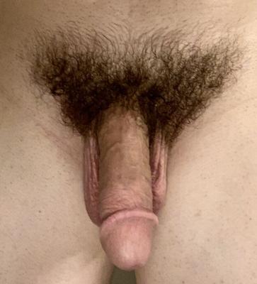 My beautiful bush