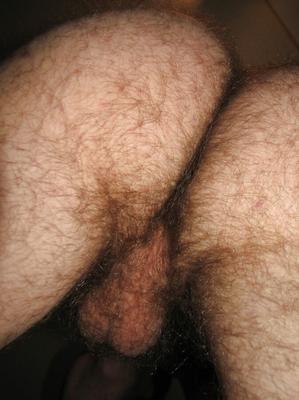 Hairy Balls and Asshole