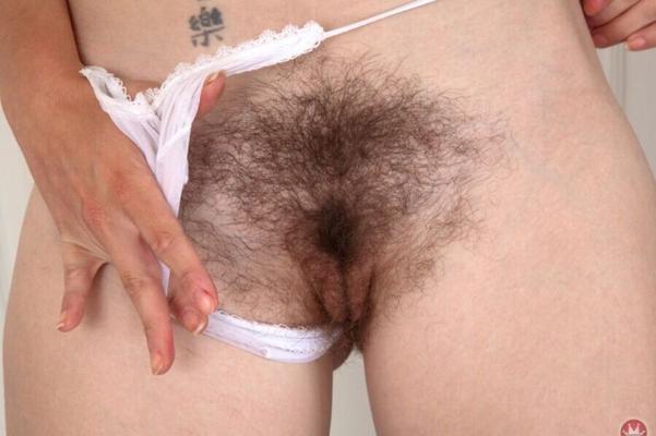 Hairy pussy collection vol. 5