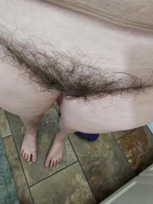 Bathroom bush 06