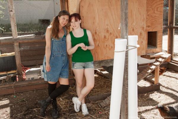 Hairy Lesbians
