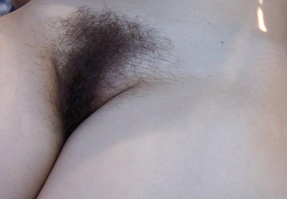a lovely bush