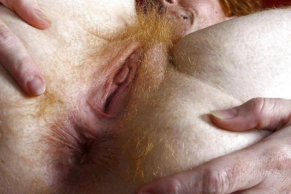 hairy assholes